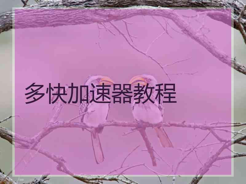 多快加速器教程
