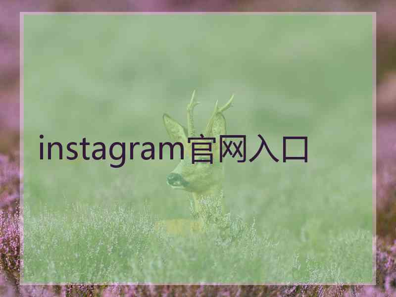 instagram官网入口