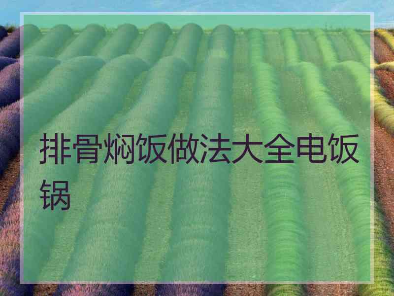 排骨焖饭做法大全电饭锅