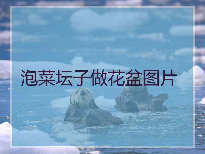 泡菜坛子做花盆图片