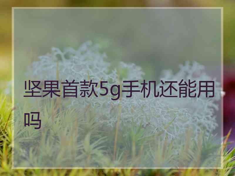 坚果首款5g手机还能用吗