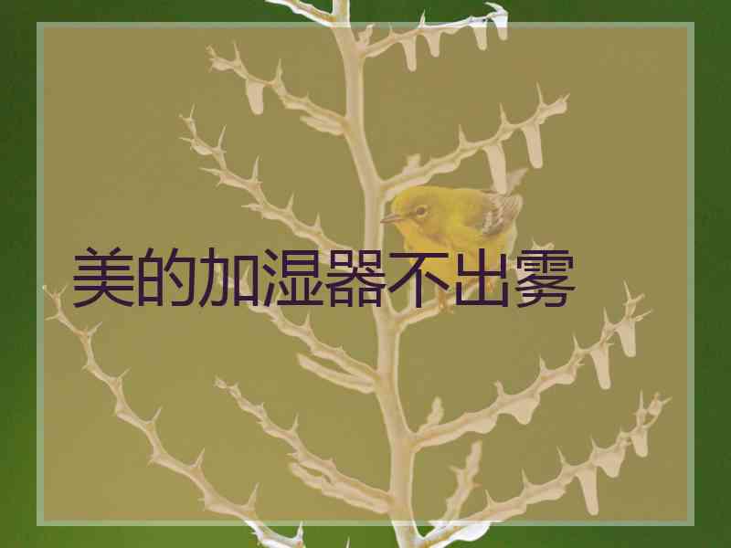 美的加湿器不出雾