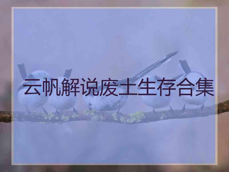 云帆解说废土生存合集