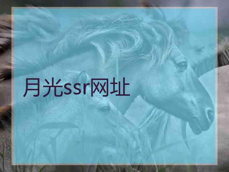 月光ssr网址