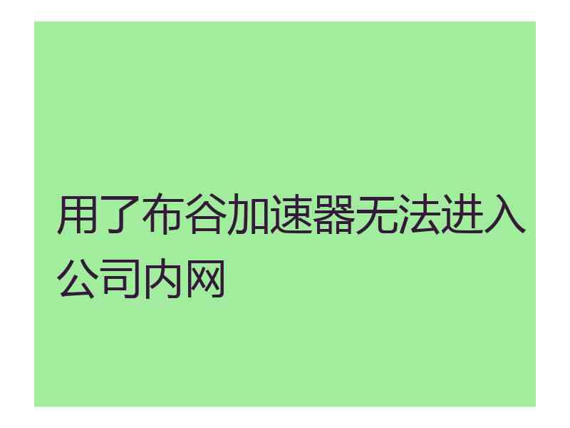 用了布谷加速器无法进入公司内网