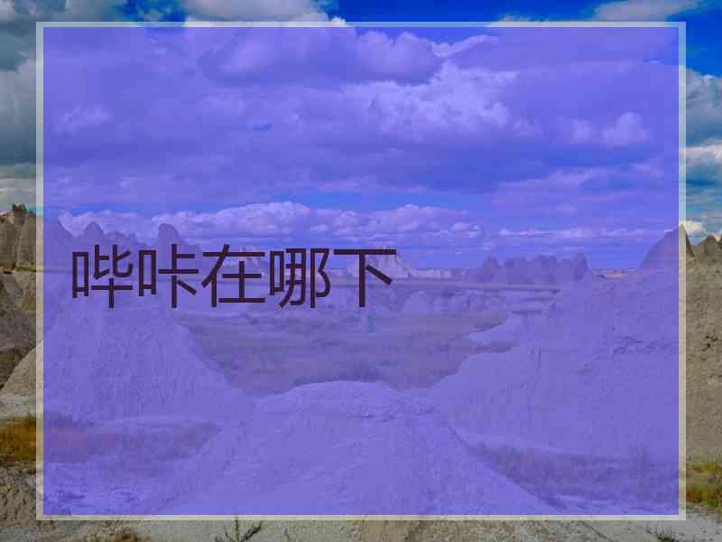 哔咔在哪下
