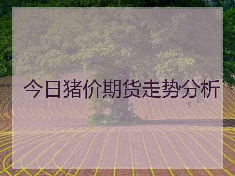 今日猪价期货走势分析