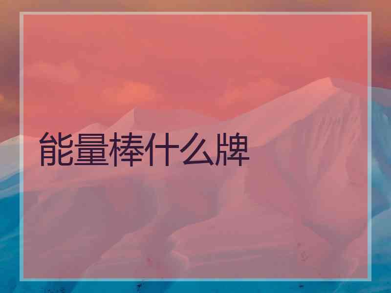 能量棒什么牌
