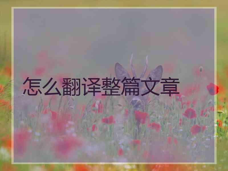 怎么翻译整篇文章