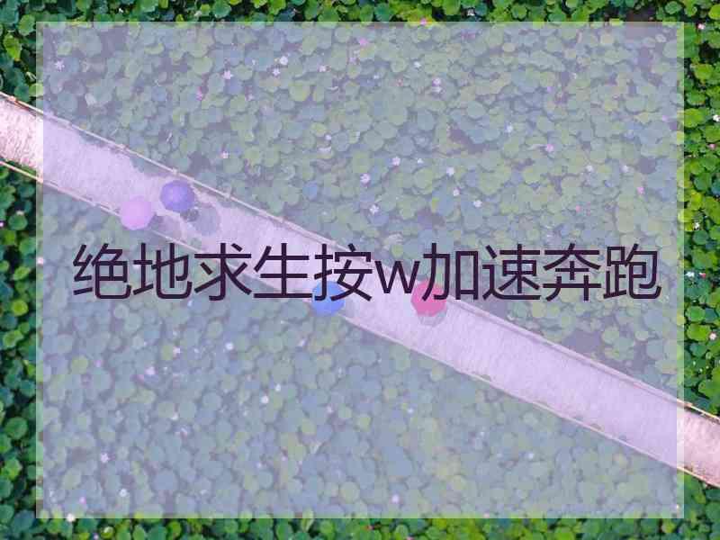 绝地求生按w加速奔跑