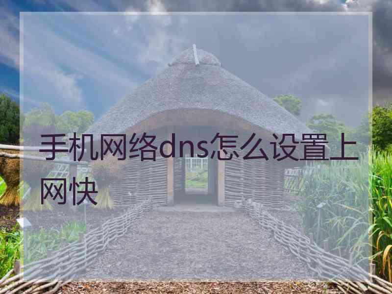 手机网络dns怎么设置上网快