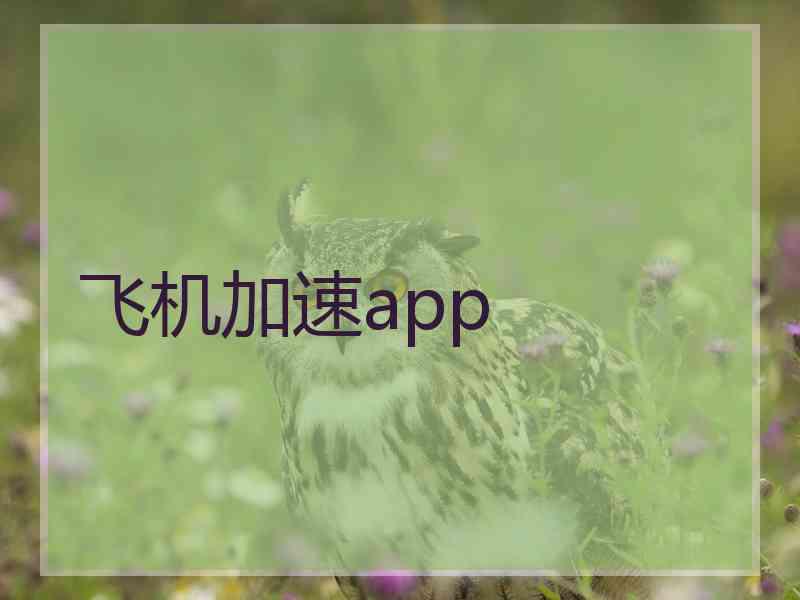 飞机加速app