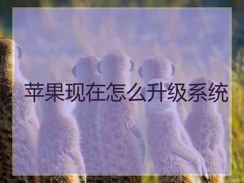 苹果现在怎么升级系统