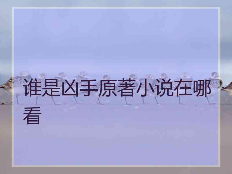 谁是凶手原著小说在哪看