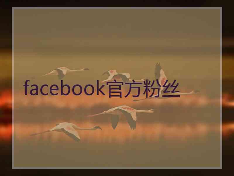 facebook官方粉丝