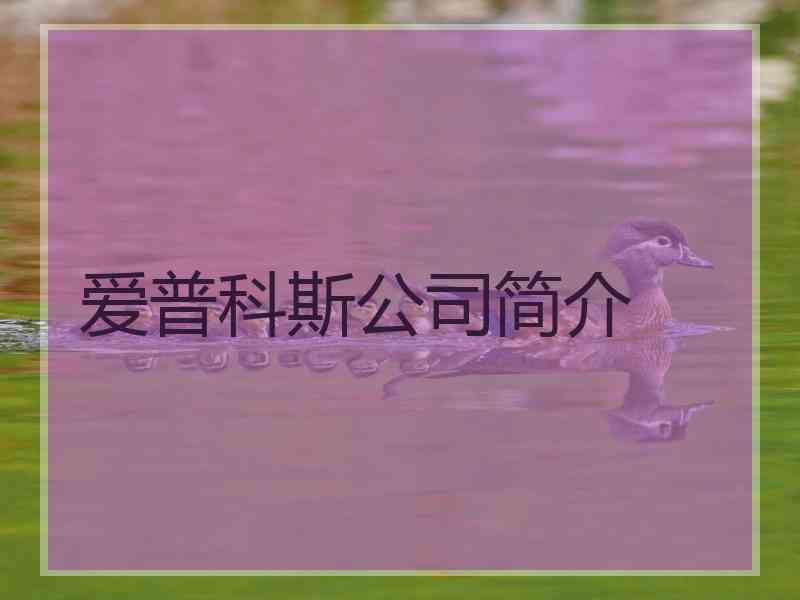 爱普科斯公司简介