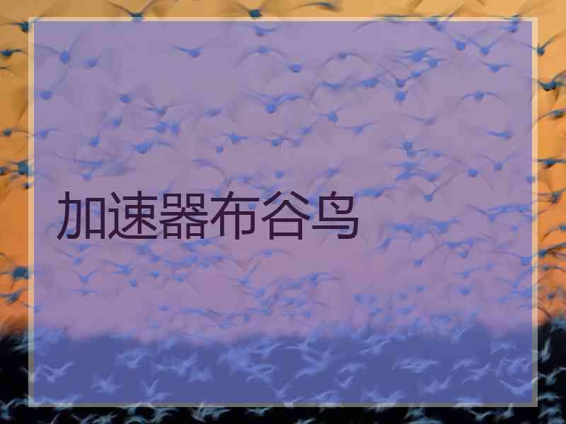 加速器布谷鸟