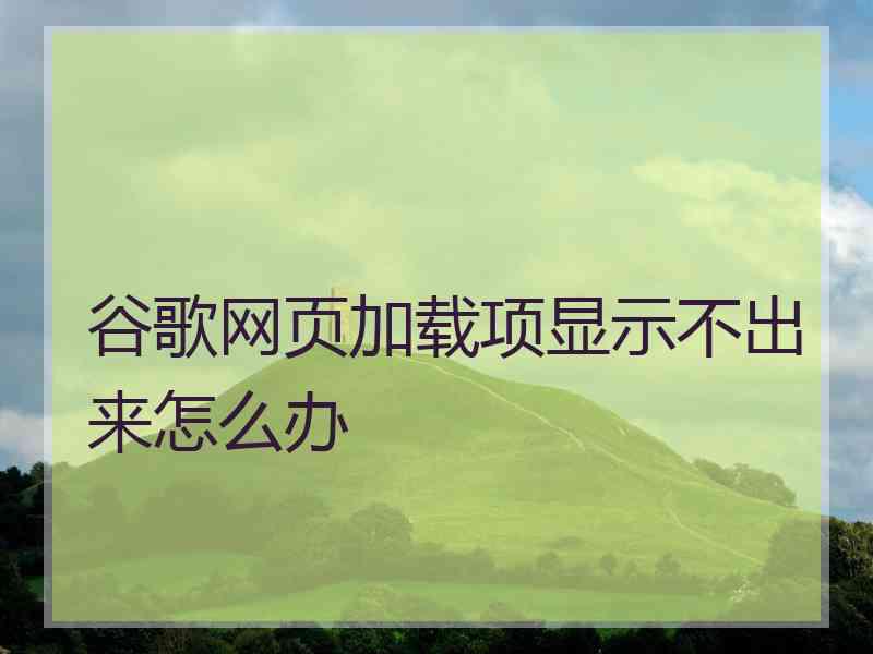 谷歌网页加载项显示不出来怎么办