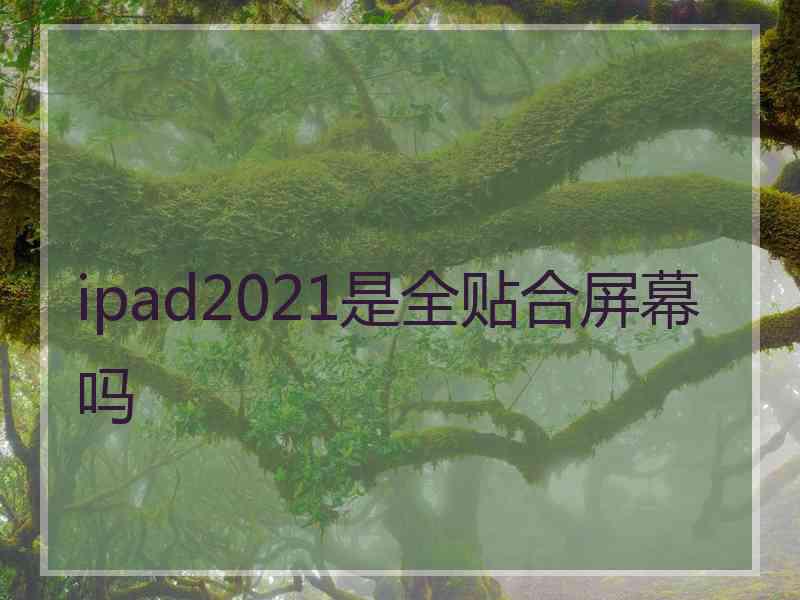 ipad2021是全贴合屏幕吗