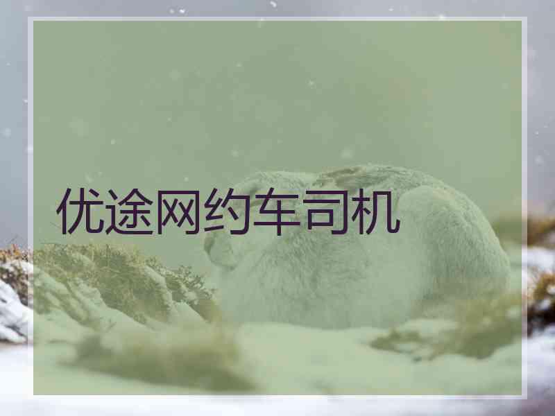 优途网约车司机