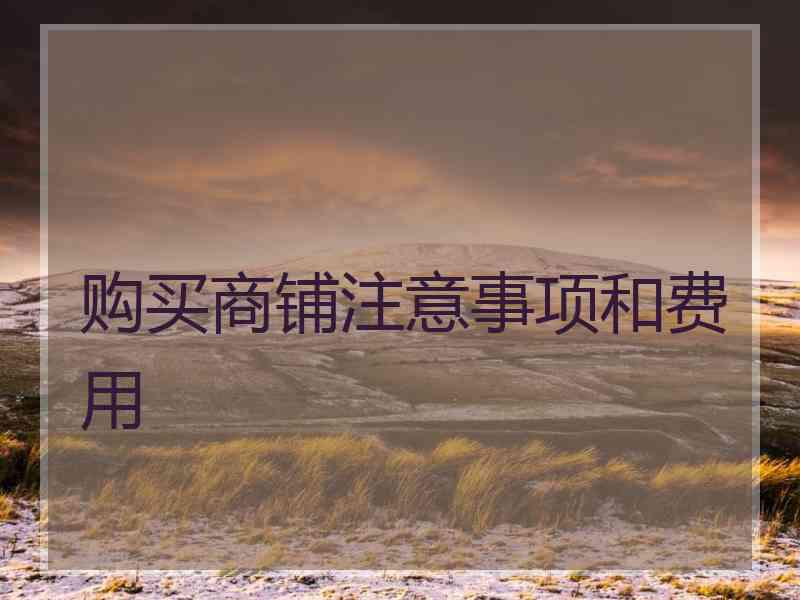购买商铺注意事项和费用