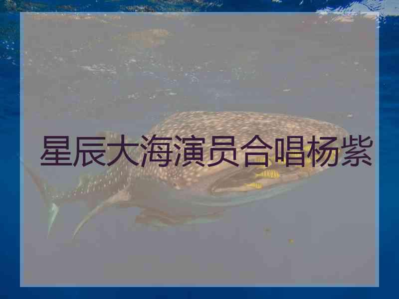 星辰大海演员合唱杨紫
