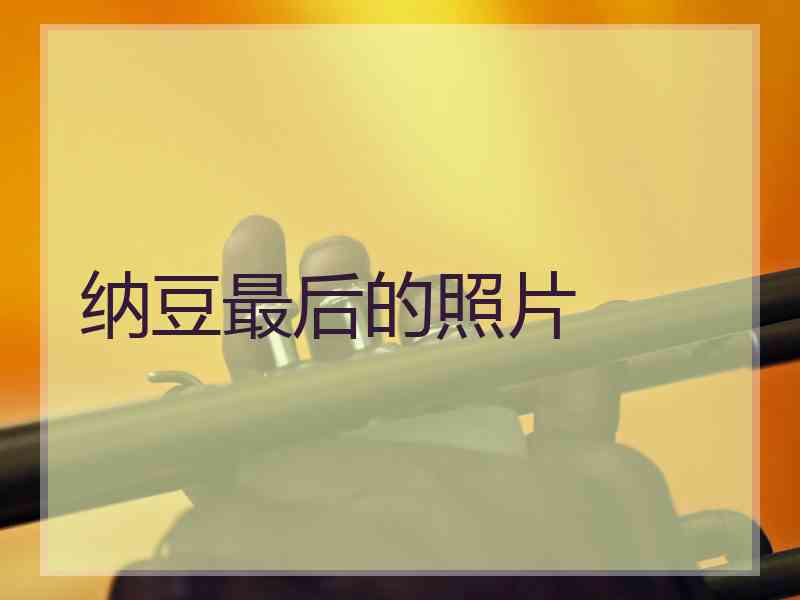 纳豆最后的照片
