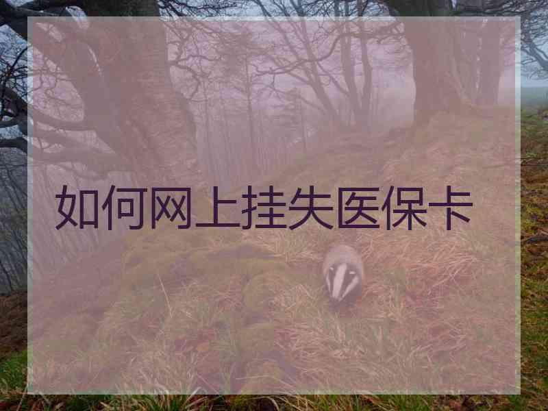 如何网上挂失医保卡