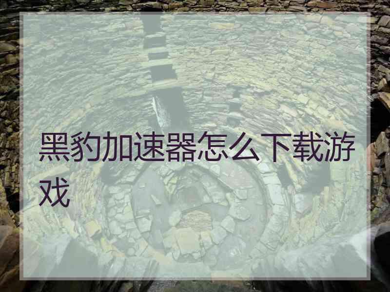 黑豹加速器怎么下载游戏