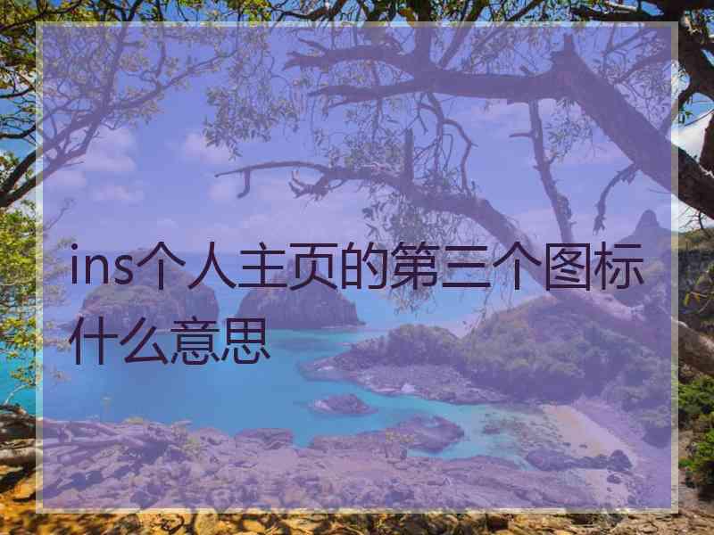 ins个人主页的第三个图标什么意思