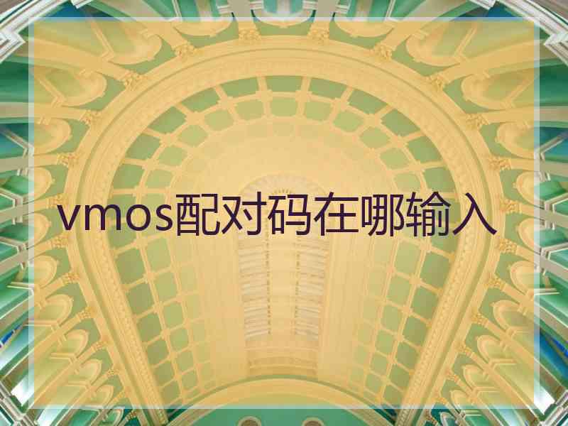 vmos配对码在哪输入