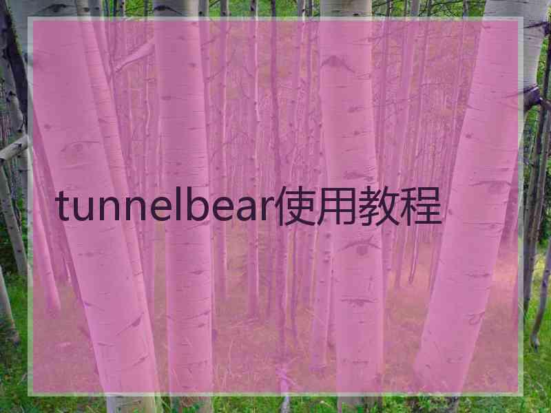 tunnelbear使用教程