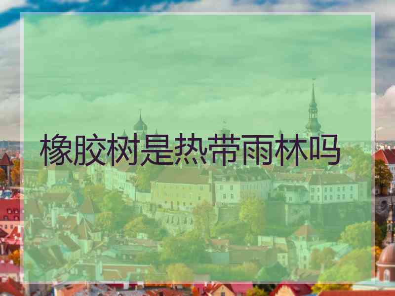 橡胶树是热带雨林吗