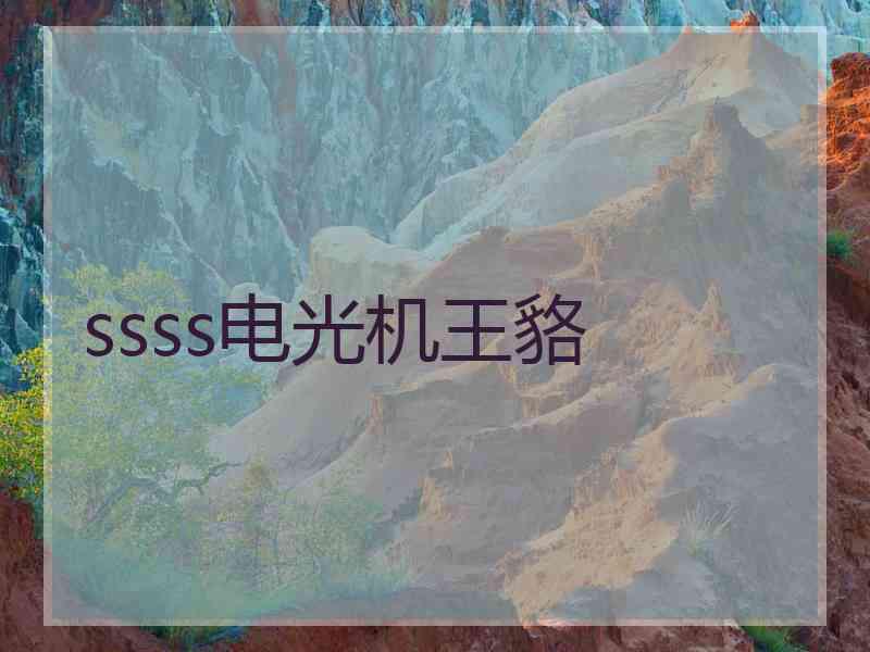 ssss电光机王貉
