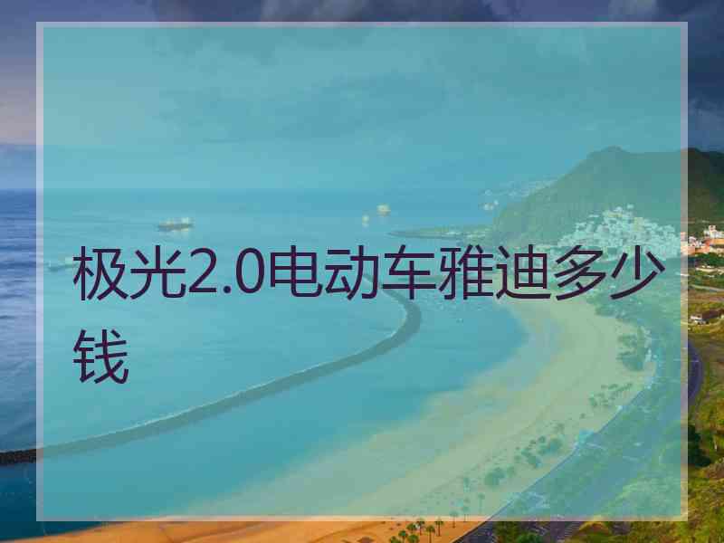极光2.0电动车雅迪多少钱