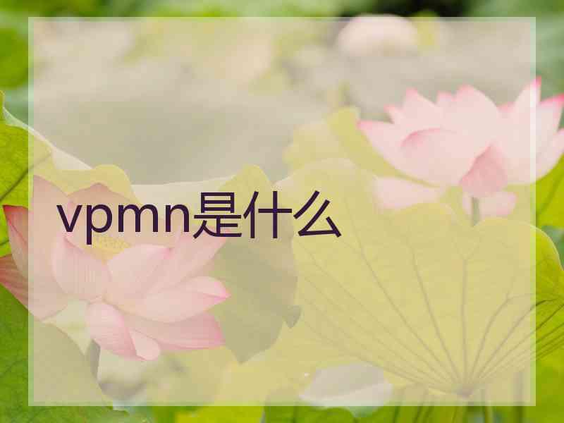 vpmn是什么