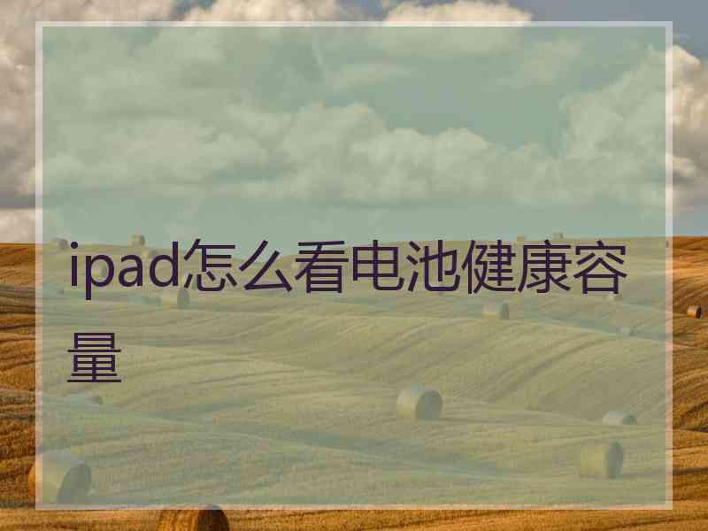 ipad怎么看电池健康容量