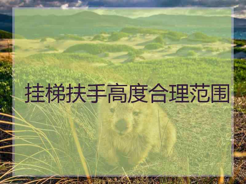 挂梯扶手高度合理范围