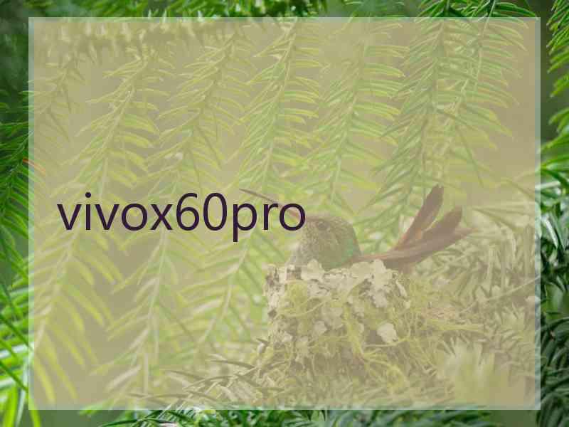 vivox60pro