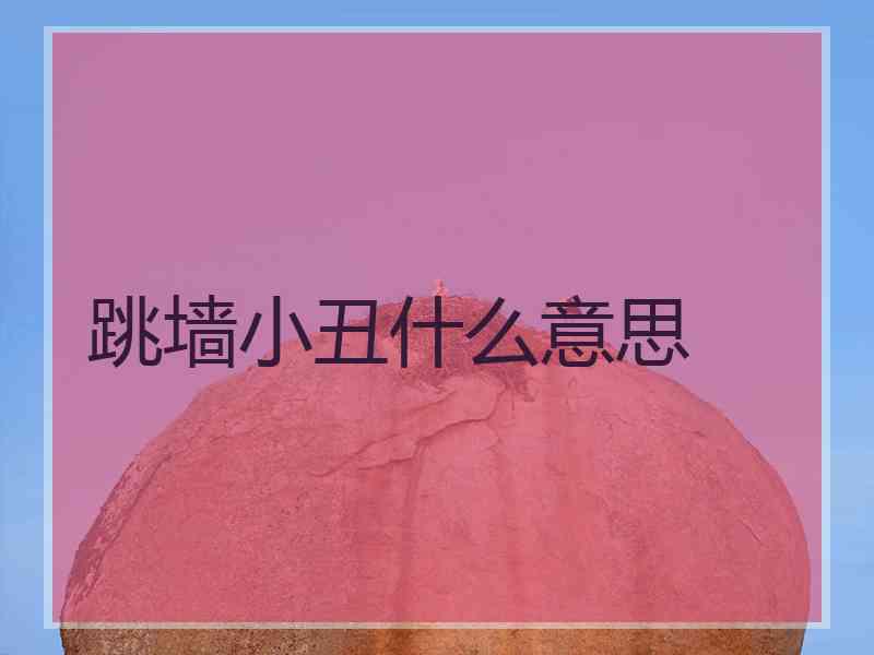 跳墙小丑什么意思