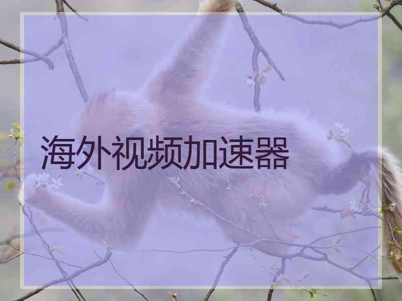 海外视频加速器