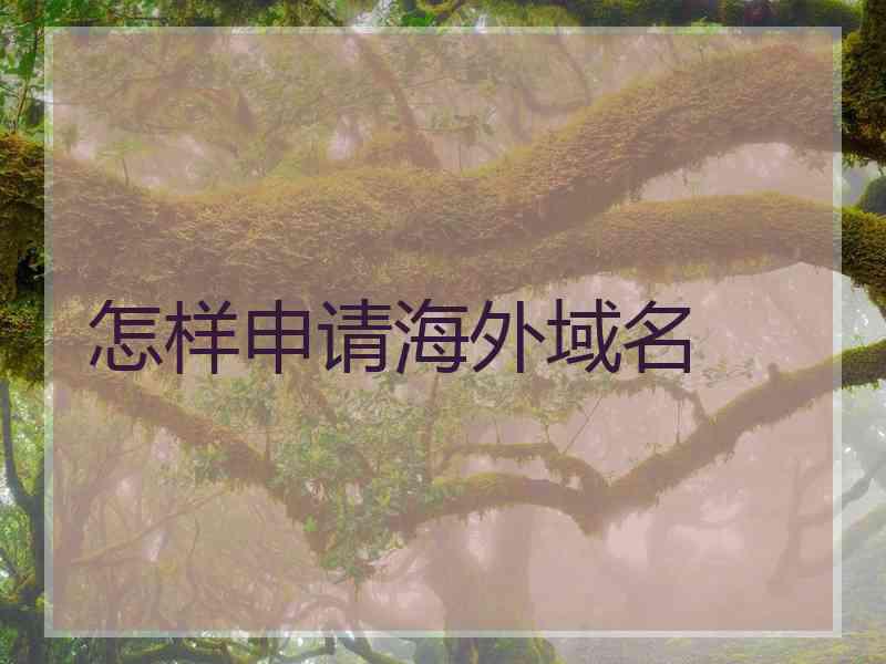 怎样申请海外域名