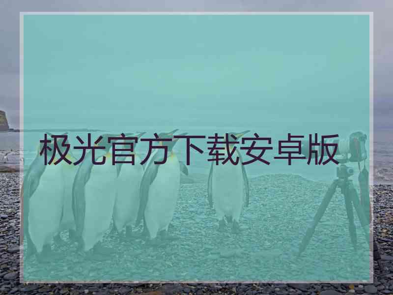 极光官方下载安卓版