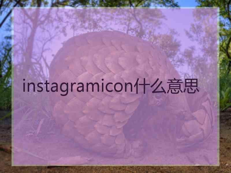 instagramicon什么意思