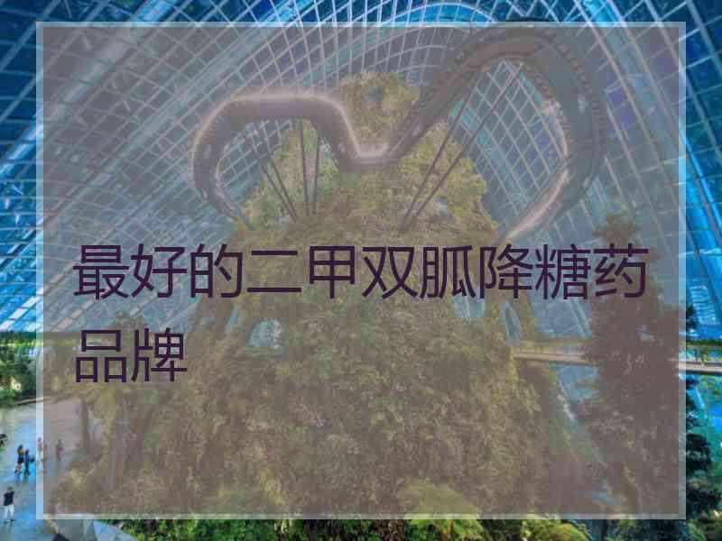 最好的二甲双胍降糖药品牌