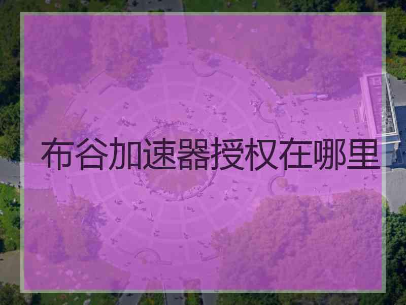 布谷加速器授权在哪里