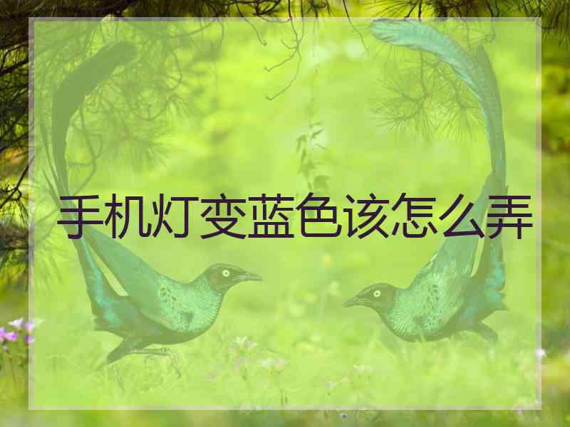 手机灯变蓝色该怎么弄