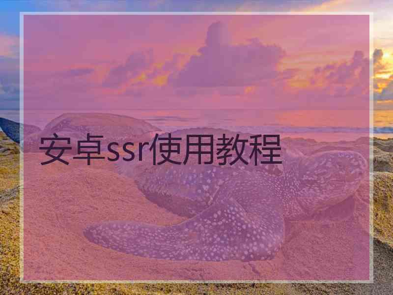 安卓ssr使用教程