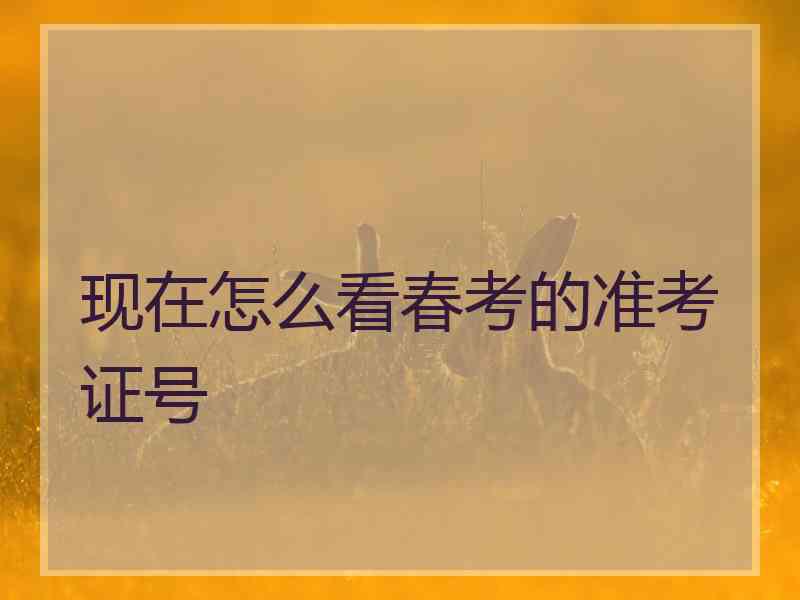 现在怎么看春考的准考证号