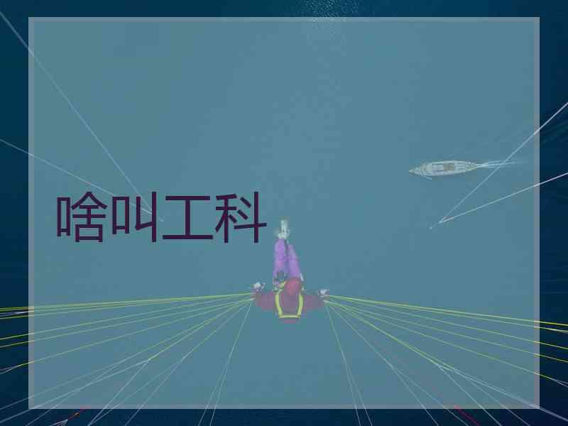啥叫工科